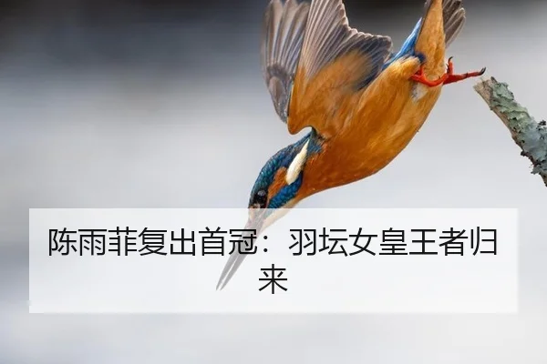 chen-yu-fei-fu-chu-shou-guan-yu-tan-nv-huang-wang-zhe-gui-lai-2-918.jpg