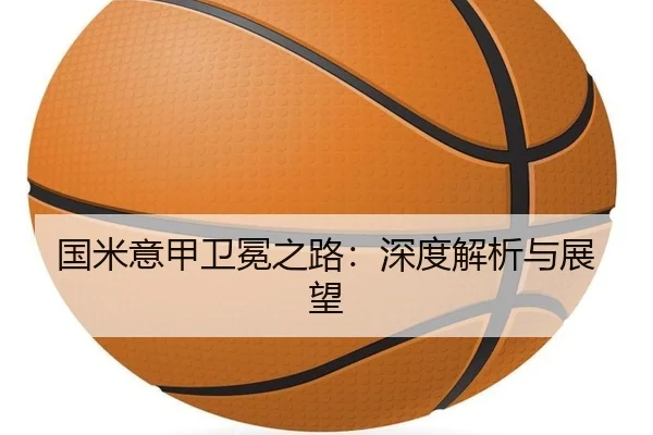 国米意甲卫冕之路：深度解析与展望